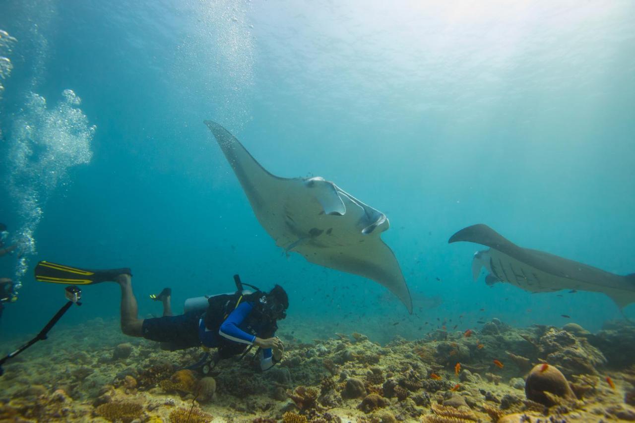 Scuba Inn Omadhoo Экстерьер фото