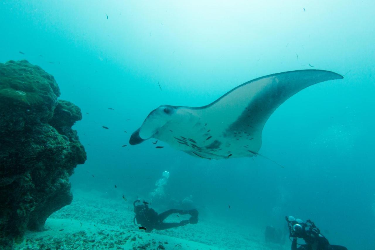 Scuba Inn Omadhoo Экстерьер фото